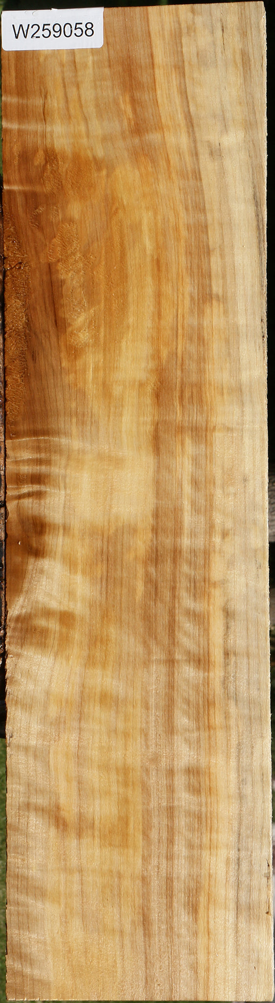 Figured Black Cottonwood Lumber