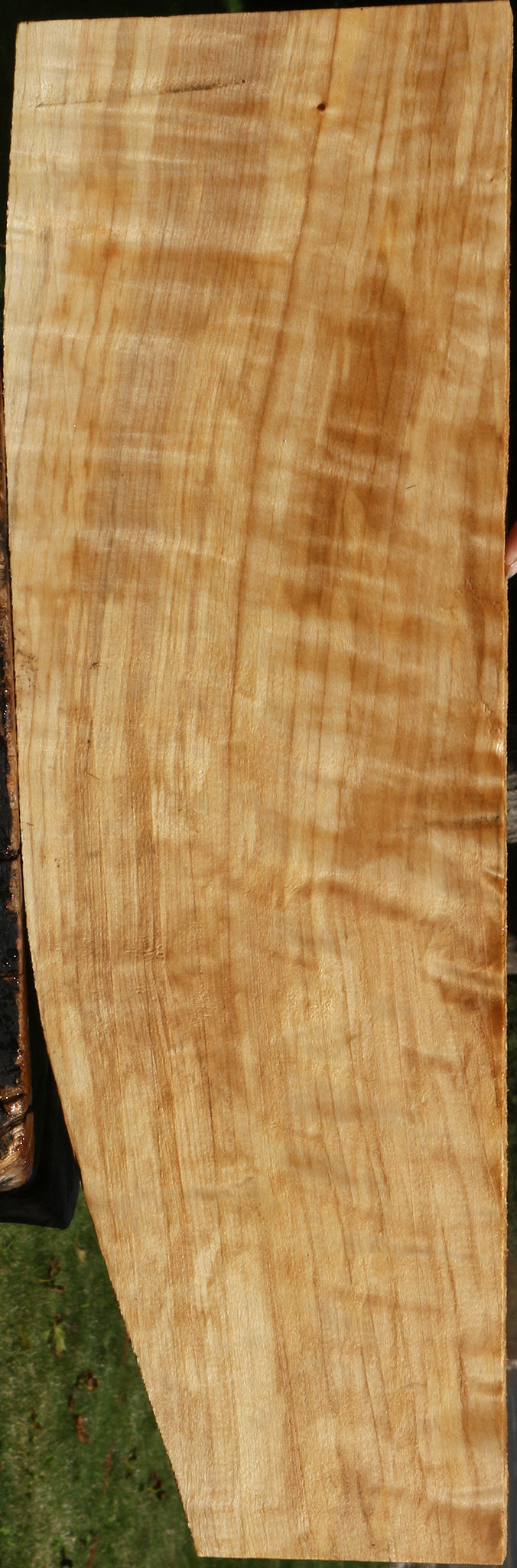 Extra Fancy Black Cottonwood Lumber