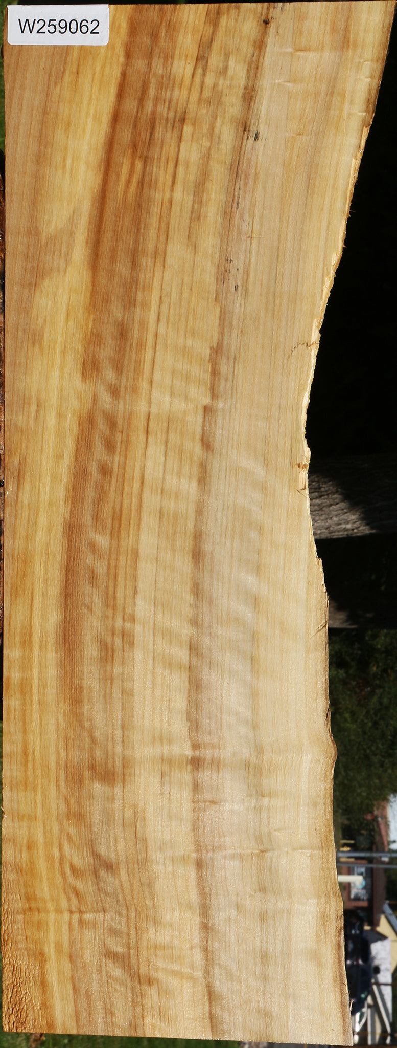 Figured Black Cottonwood Live Edge Lumber