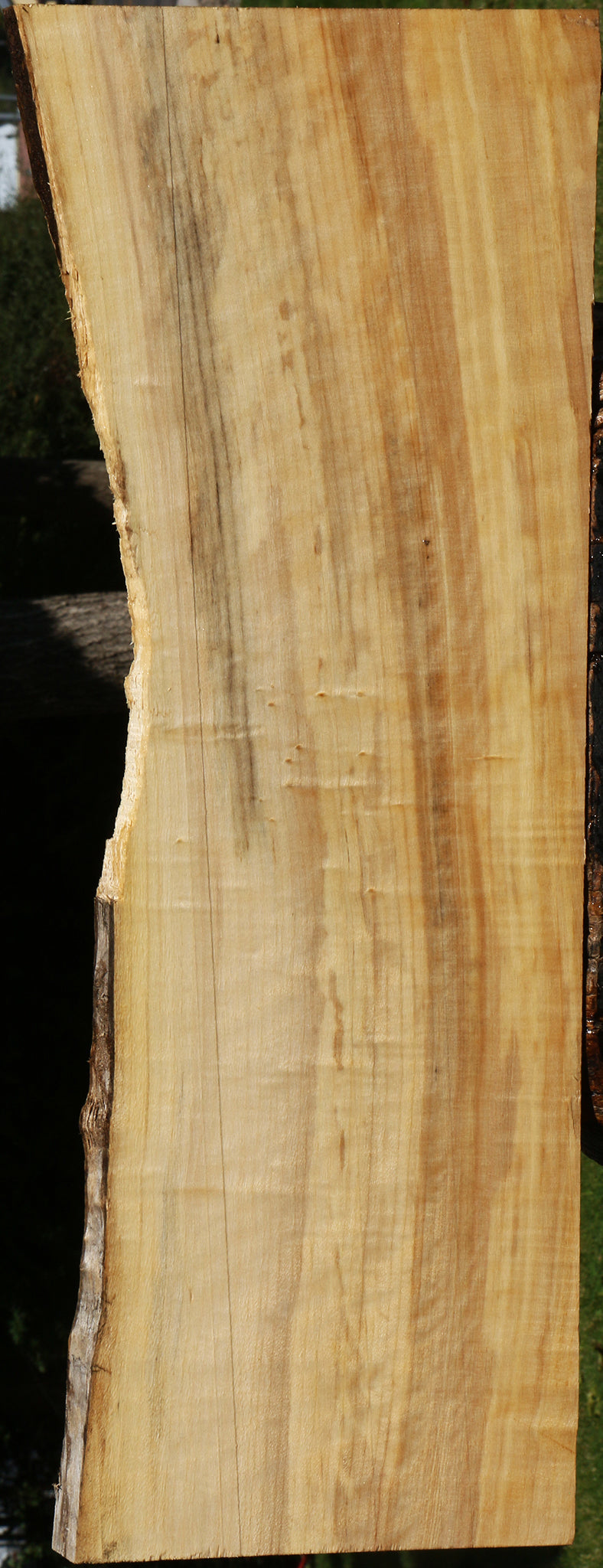 Figured Black Cottonwood Live Edge Lumber
