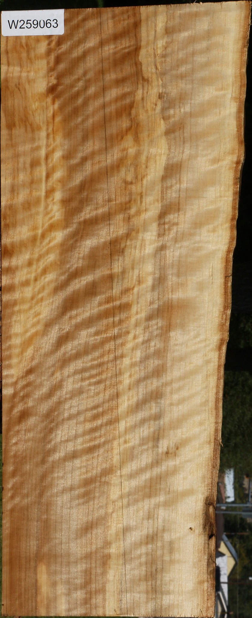 Extra Fancy Black Cottonwood Live Edge Lumber