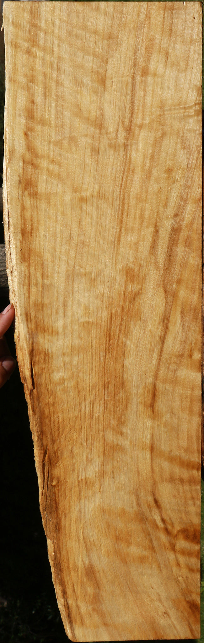 Figured Black Cottonwood Live Edge Lumber