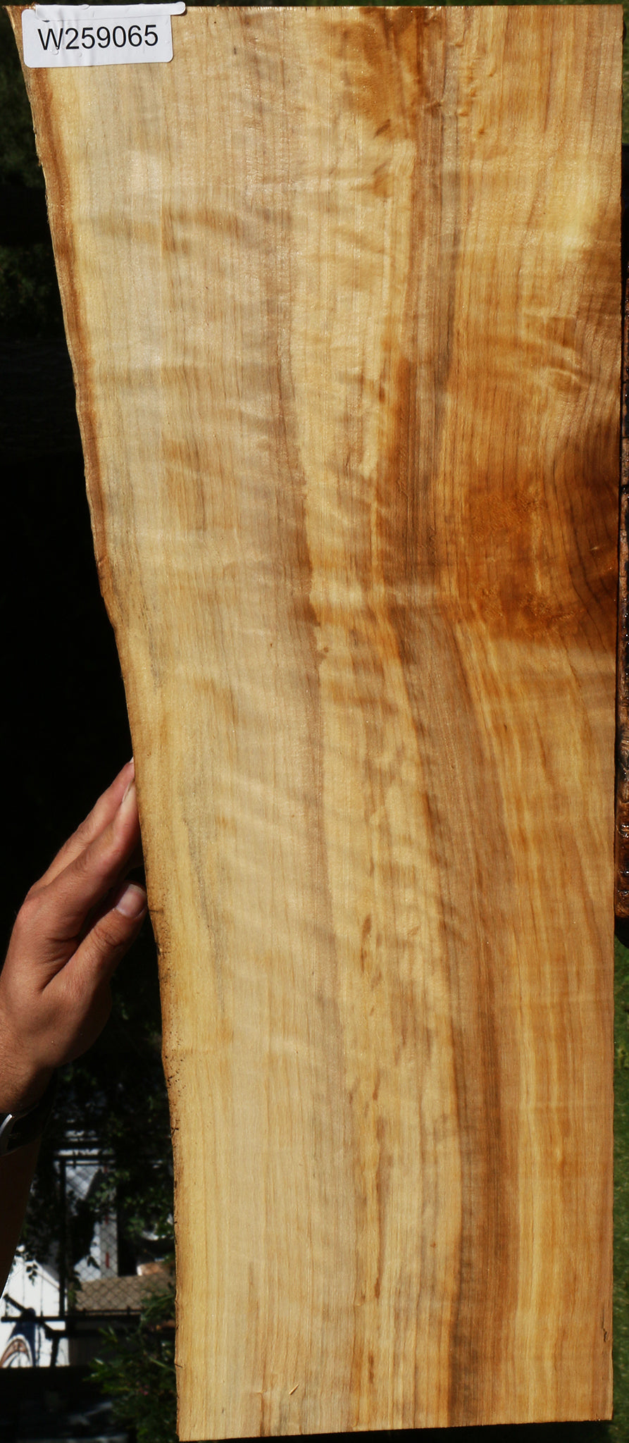 Figured Black Cottonwood Live Edge Lumber