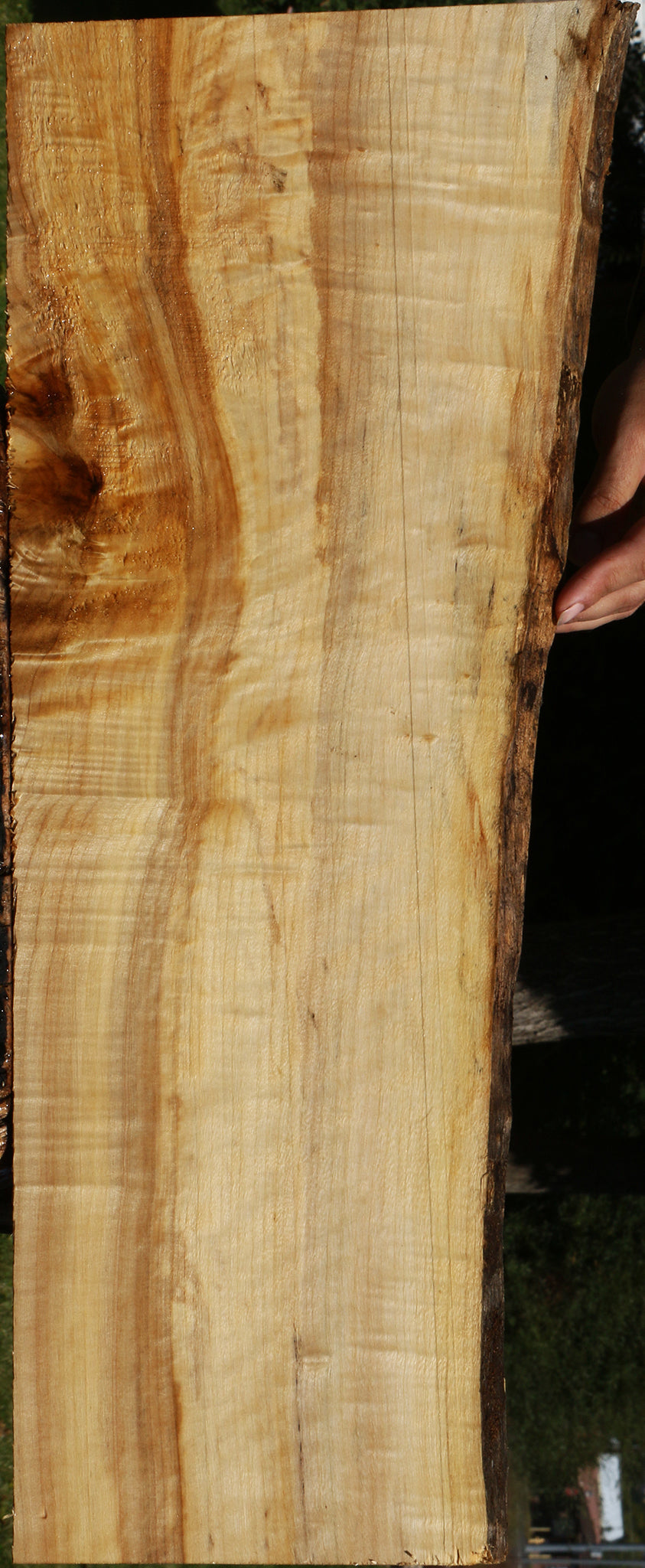 Figured Black Cottonwood Live Edge Lumber