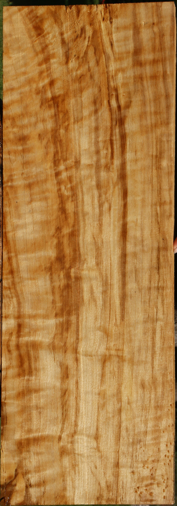 Extra Fancy Black Cottonwood Lumber