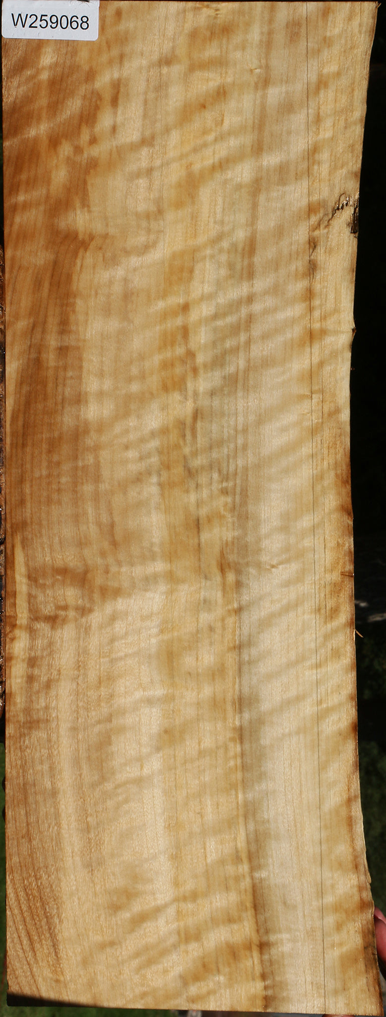 Extra Fancy Black Cottonwood Live Edge Lumber