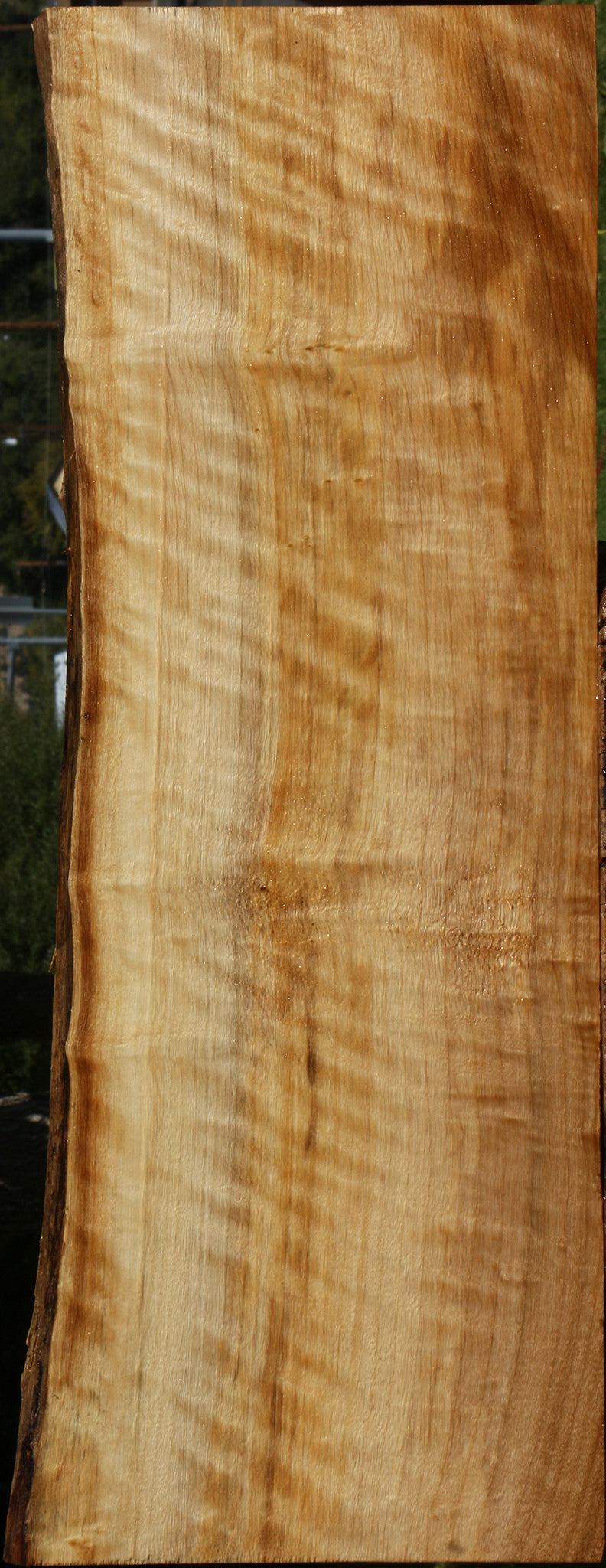 Extra Fancy Black Cottonwood Live Edge Lumber