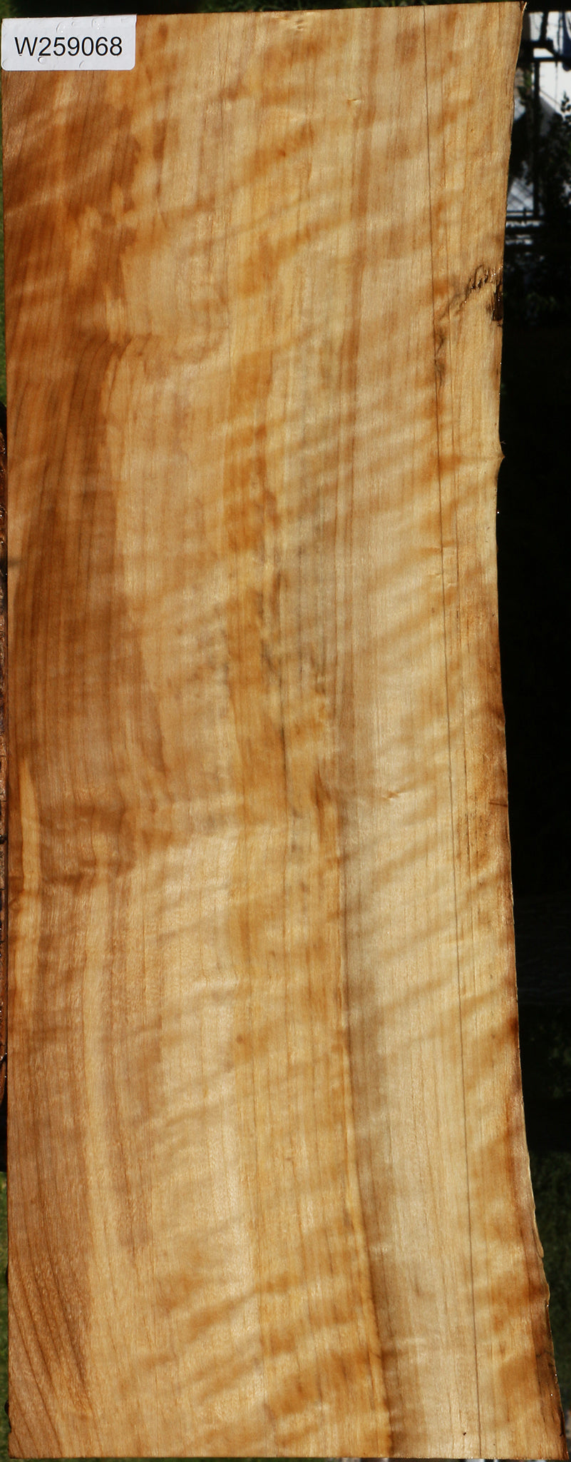 Extra Fancy Black Cottonwood Live Edge Lumber