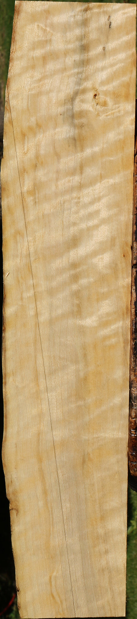 Extra Fancy Black Cottonwood Live Edge Lumber