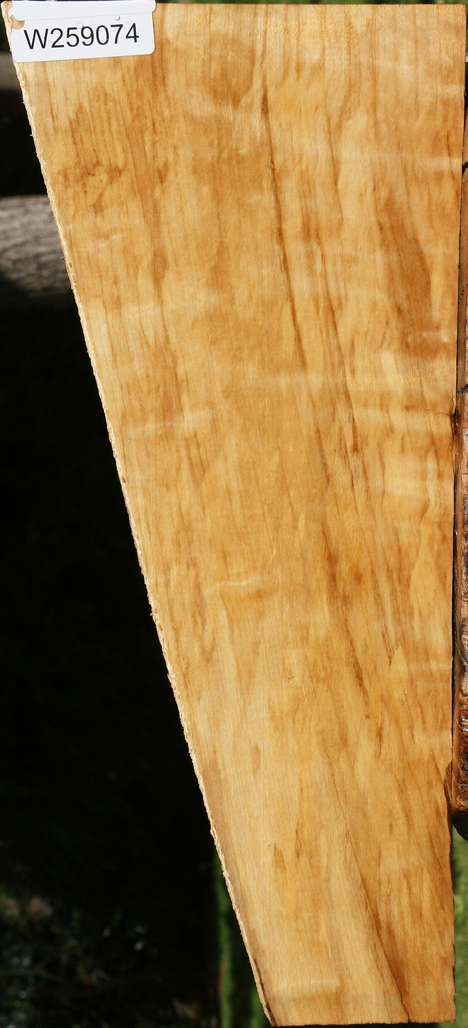 Figured Black Cottonwood Lumber