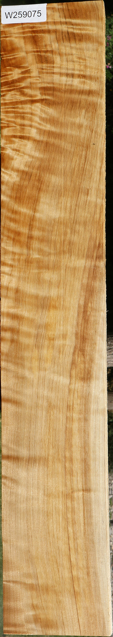 Extra Fancy Black Cottonwood Lumber