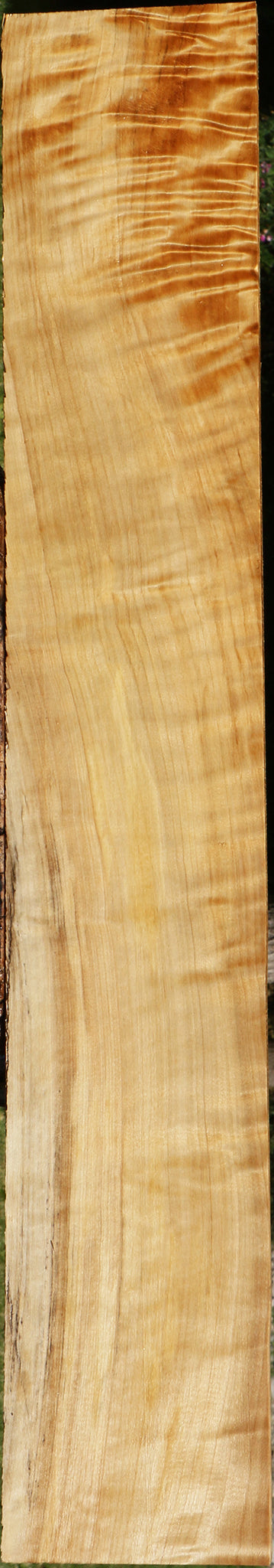 Extra Fancy Black Cottonwood Lumber