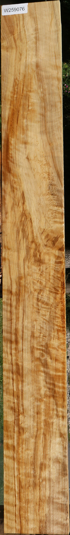 Extra Fancy Black Cottonwood Lumber