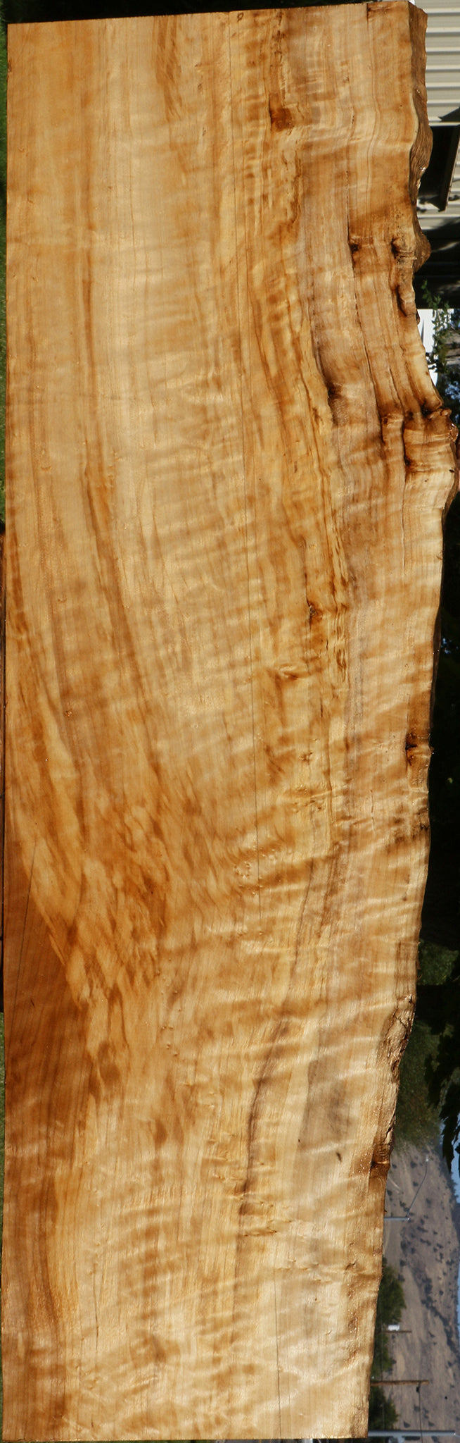 Extra Fancy Black Cottonwood Live Edge Lumber
