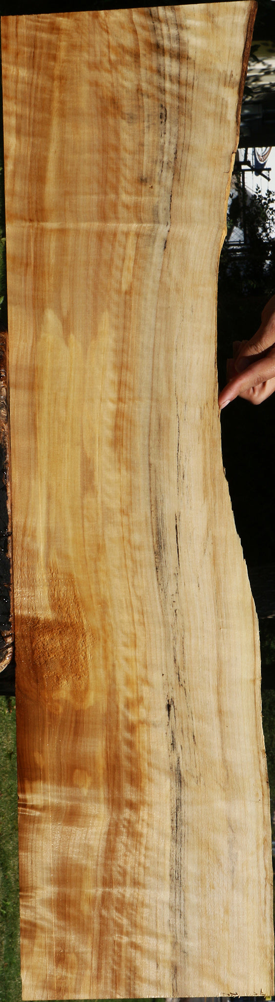 Figured Black Cottonwood Live Edge Lumber