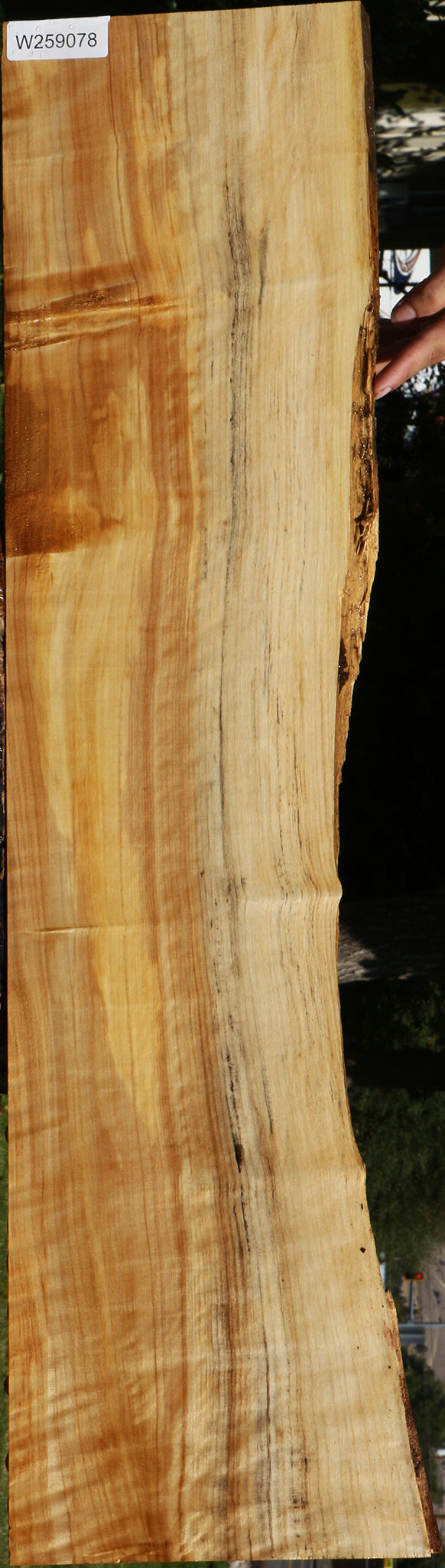 Figured Black Cottonwood Live Edge Lumber