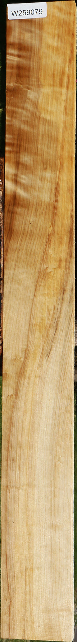Figured Black Cottonwood Lumber