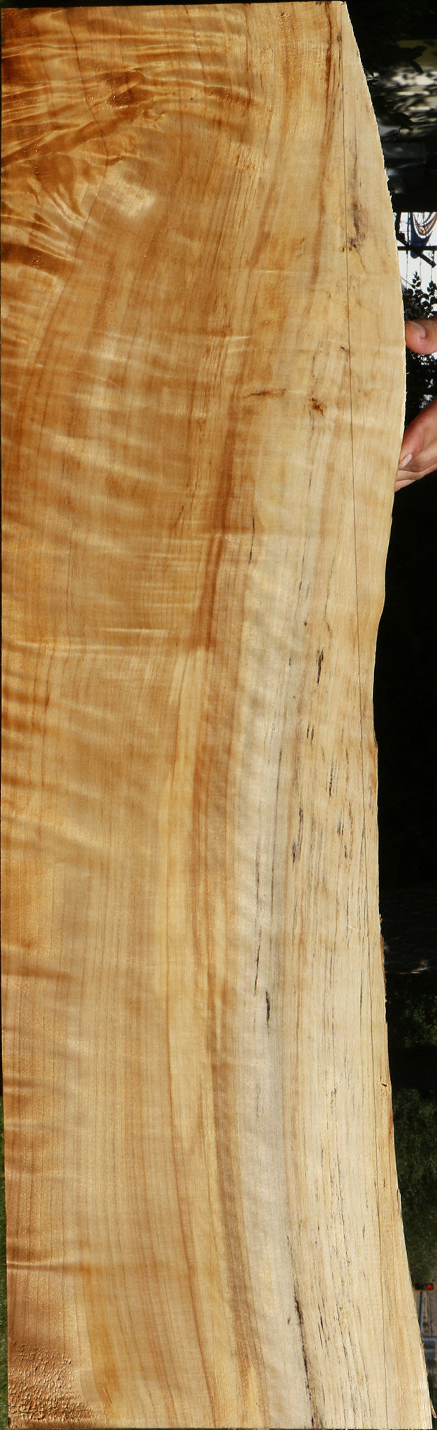 Figured Black Cottonwood Live Edge Lumber
