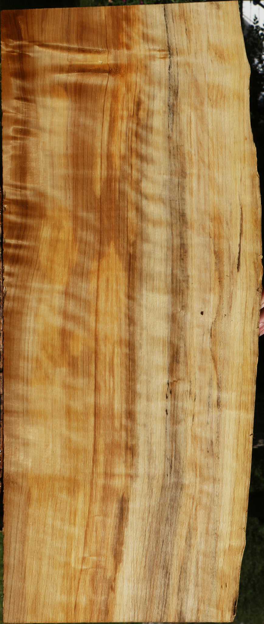 Extra Fancy Black Cottonwood Live Edge Lumber