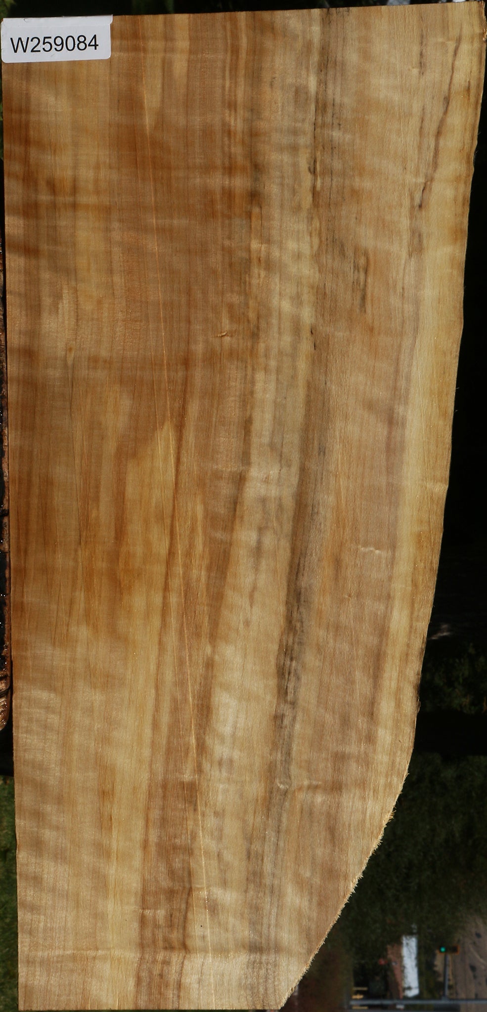 Figured Black Cottonwood Live Edge Lumber