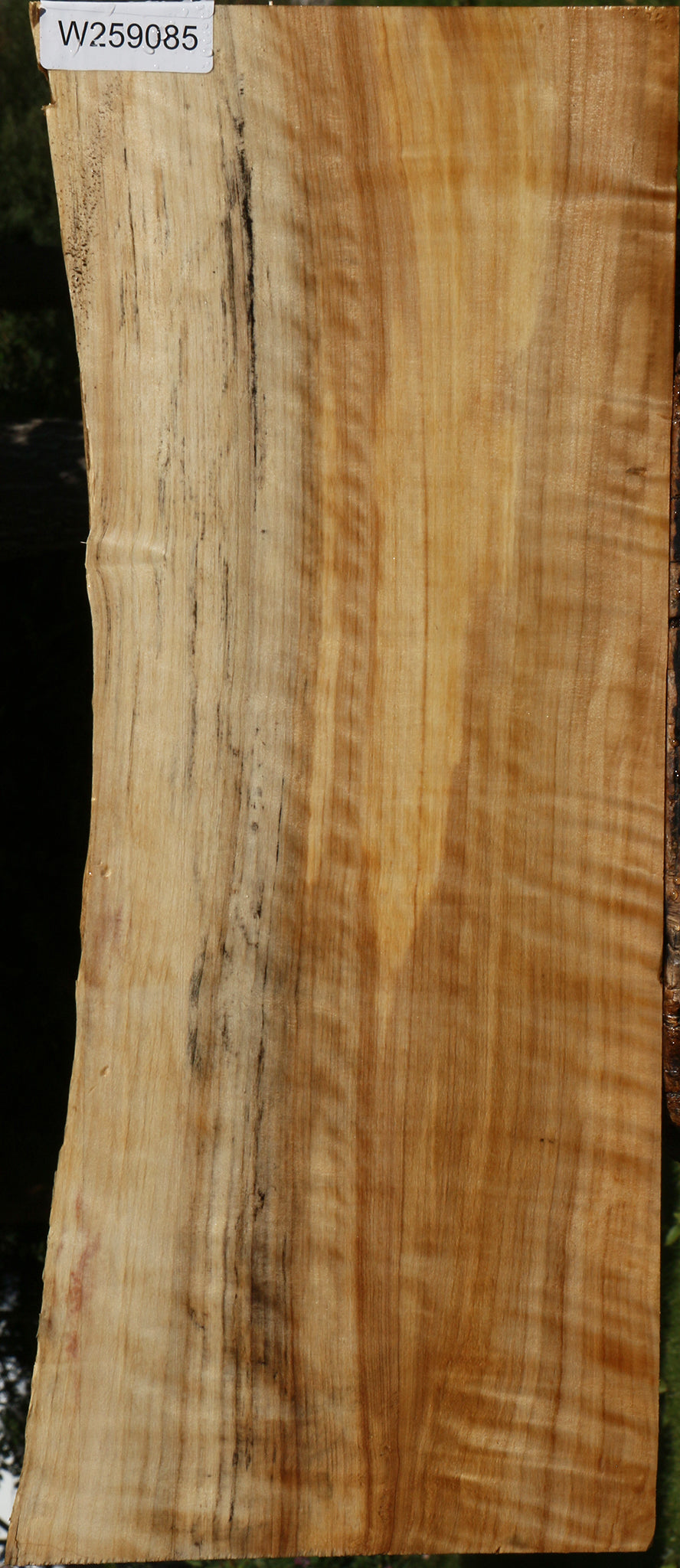 Extra Fancy Black Cottonwood Live Edge Lumber