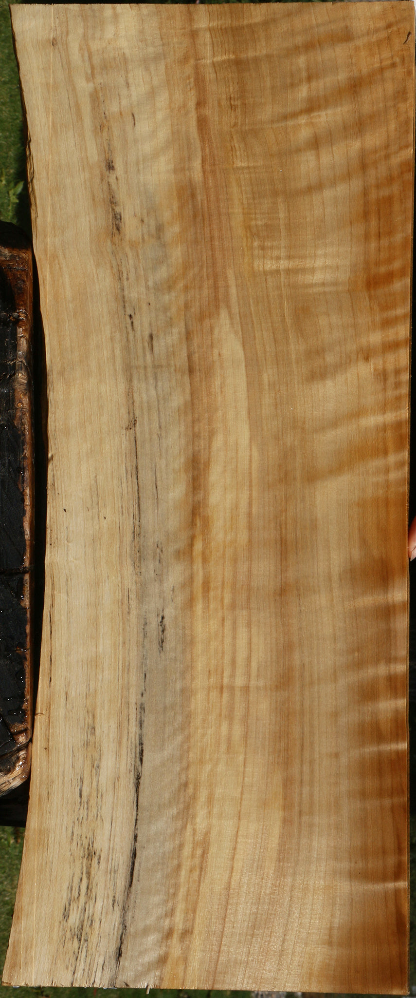 Extra Fancy Black Cottonwood Live Edge Lumber