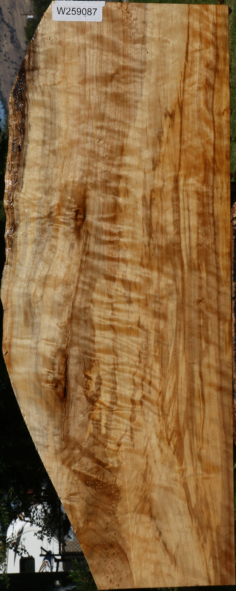 Extra Fancy Black Cottonwood Live Edge Lumber