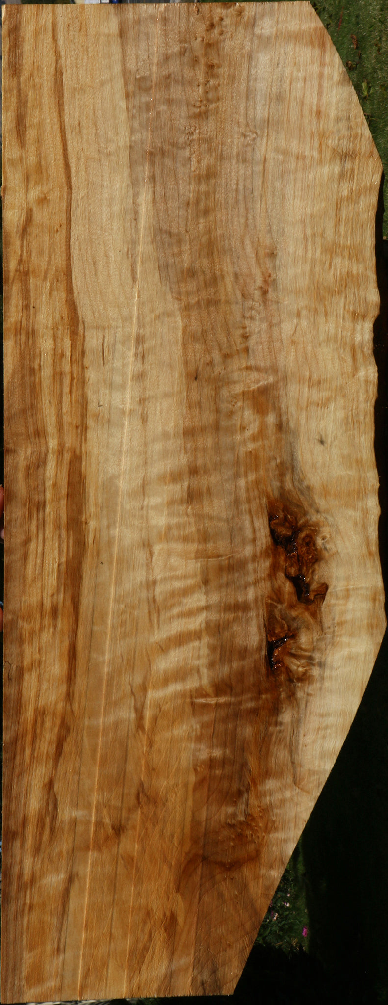 Extra Fancy Black Cottonwood Live Edge Lumber