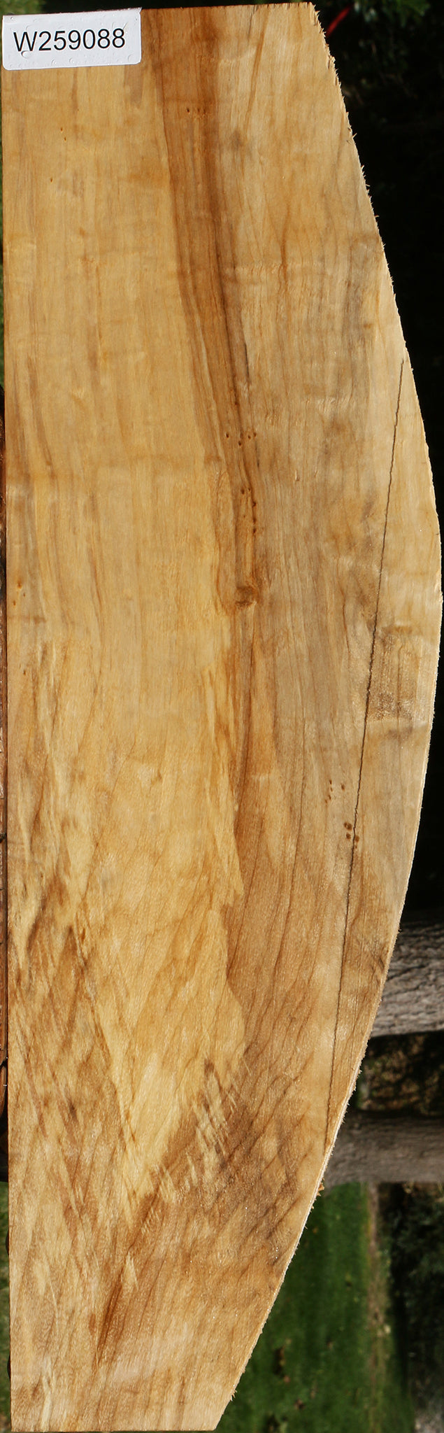 Figured Black Cottonwood Lumber