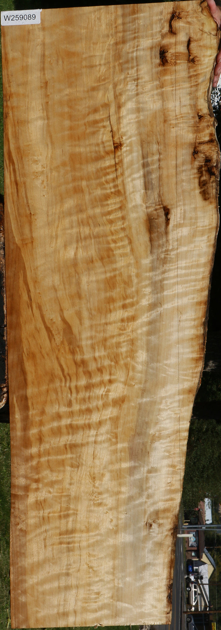 Extra Fancy Black Cottonwood Live Edge Lumber