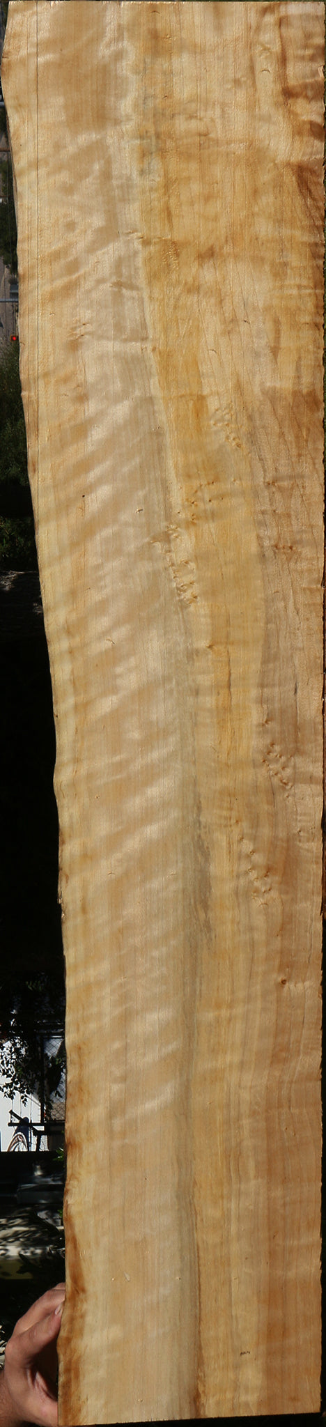 Extra Fancy Black Cottonwood Live Edge Lumber