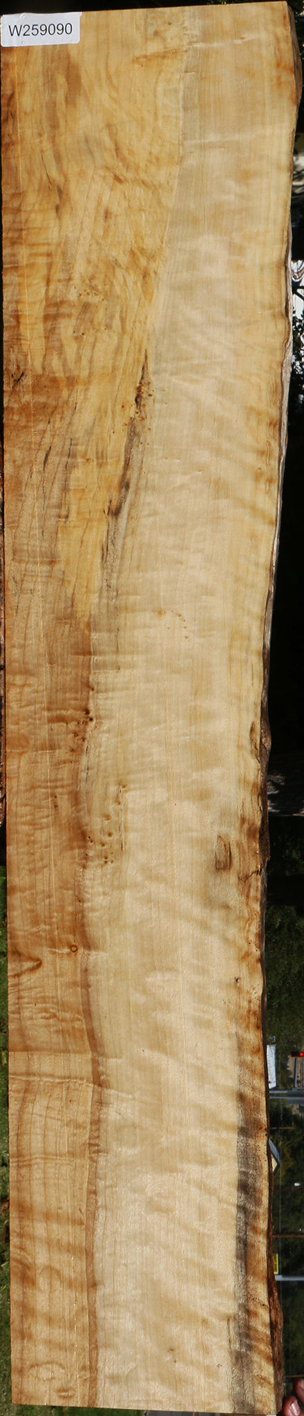 Extra Fancy Black Cottonwood Live Edge Lumber