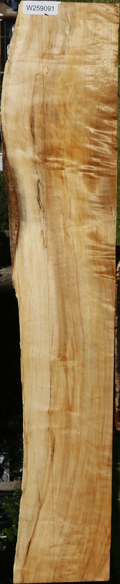Extra Fancy Black Cottonwood Live Edge Lumber
