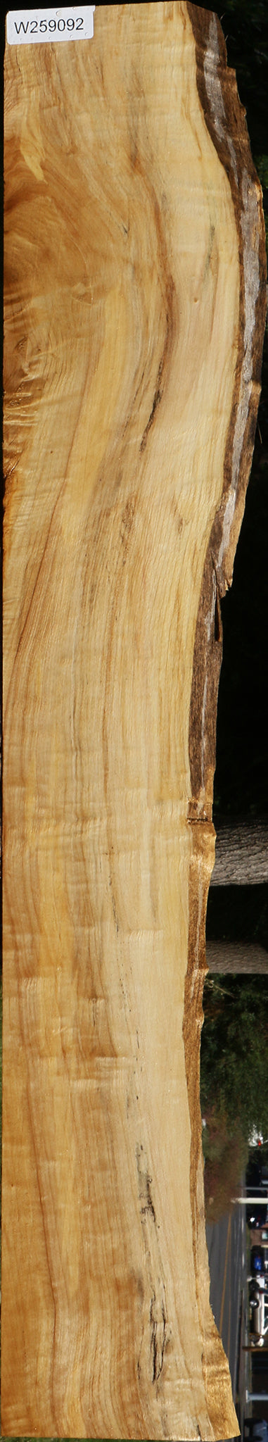 Figured Black Cottonwood Live Edge Lumber
