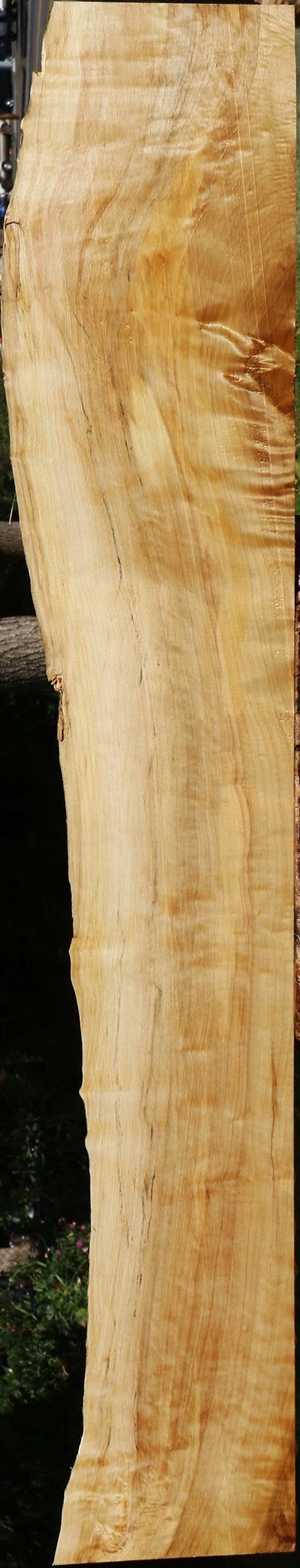 Figured Black Cottonwood Live Edge Lumber