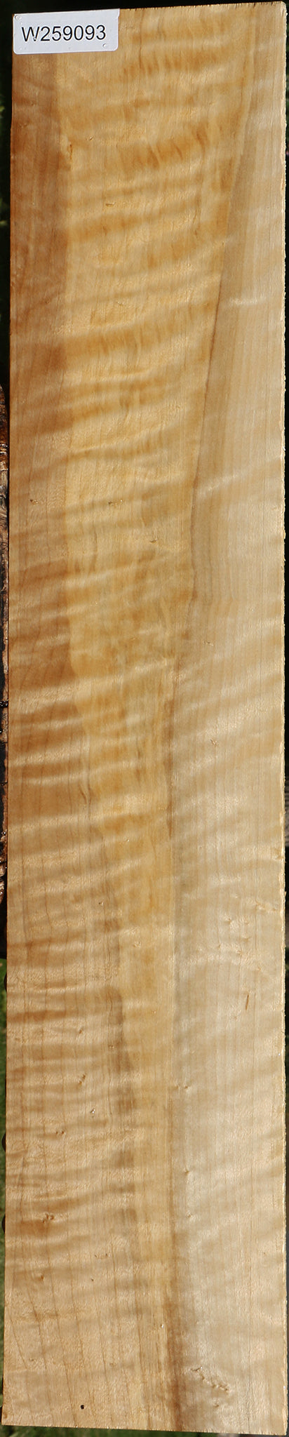 Extra Fancy Black Cottonwood Lumber