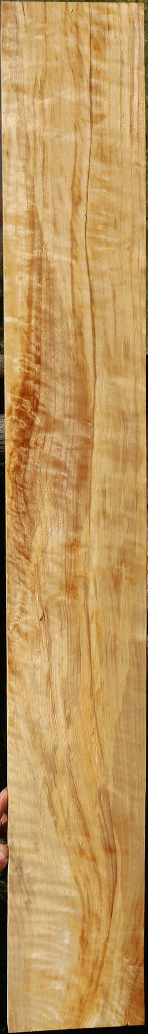 Extra Fancy Black Cottonwood Lumber