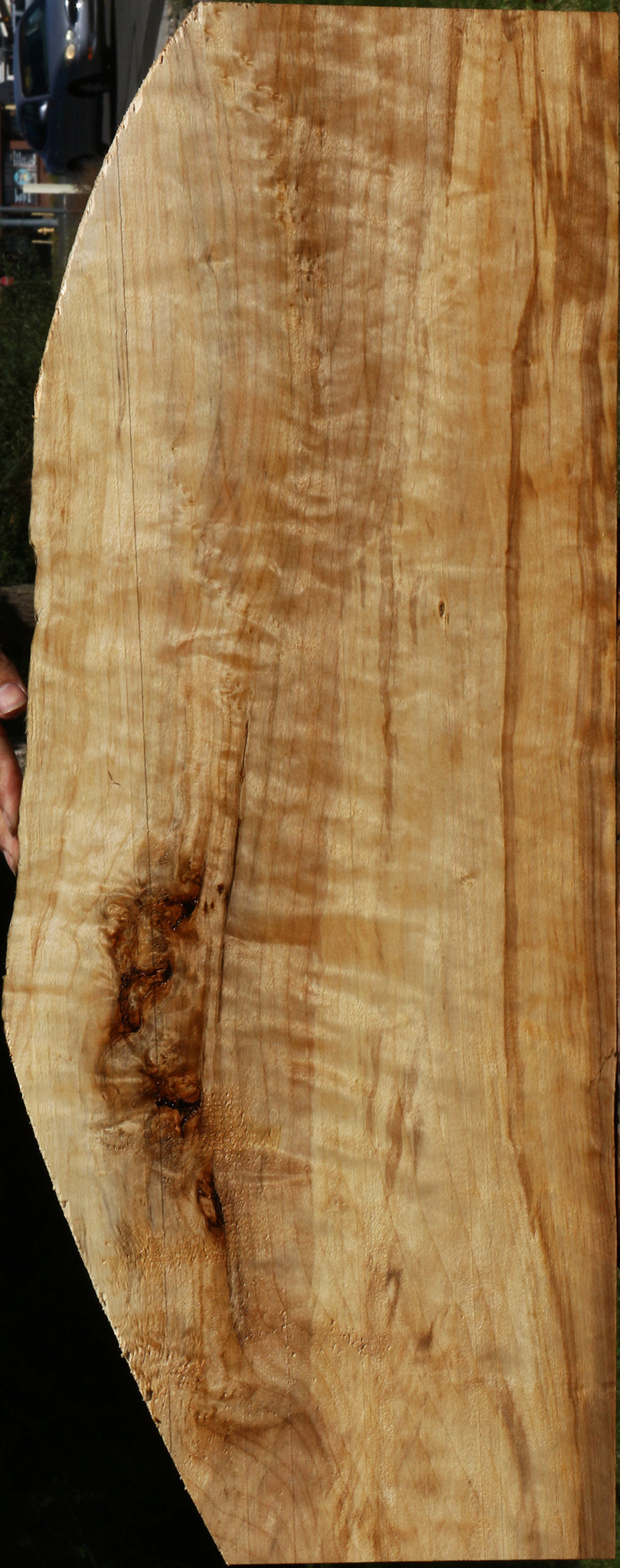 Extra Fancy Black Cottonwood Lumber