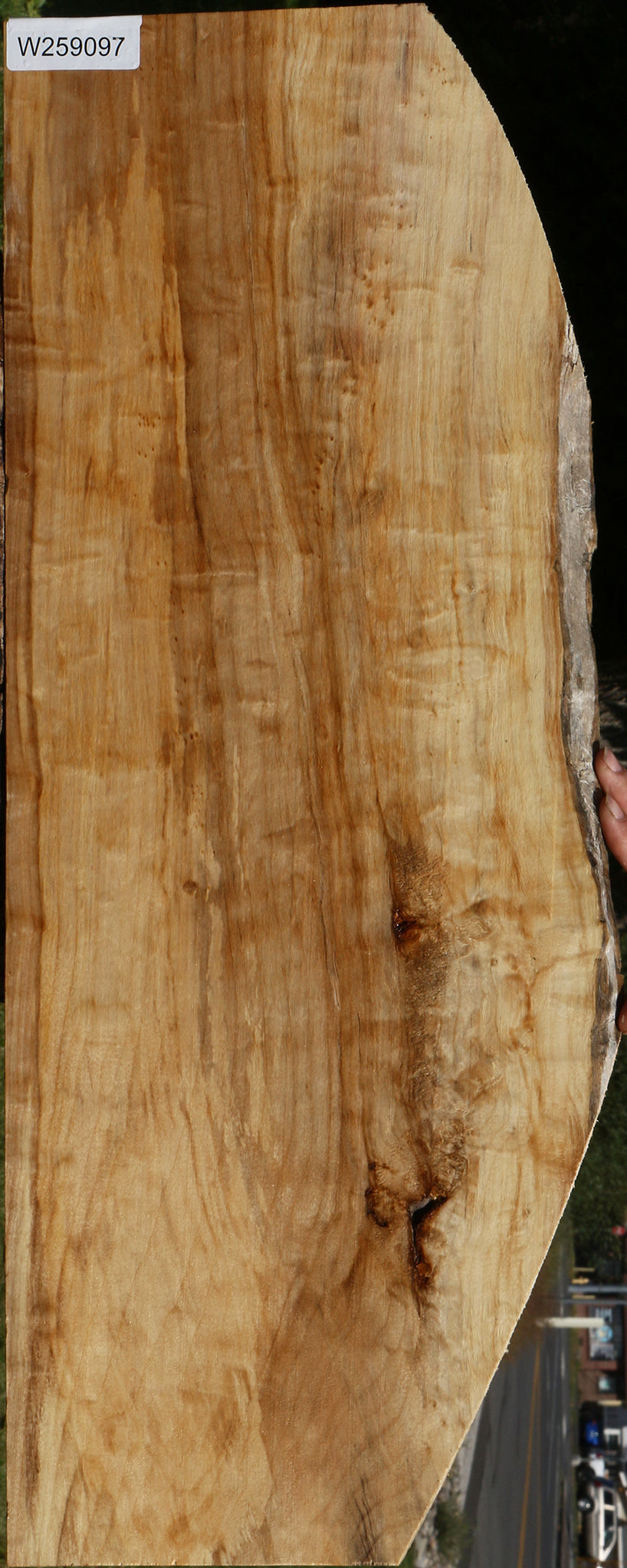 Extra Fancy Black Cottonwood Lumber