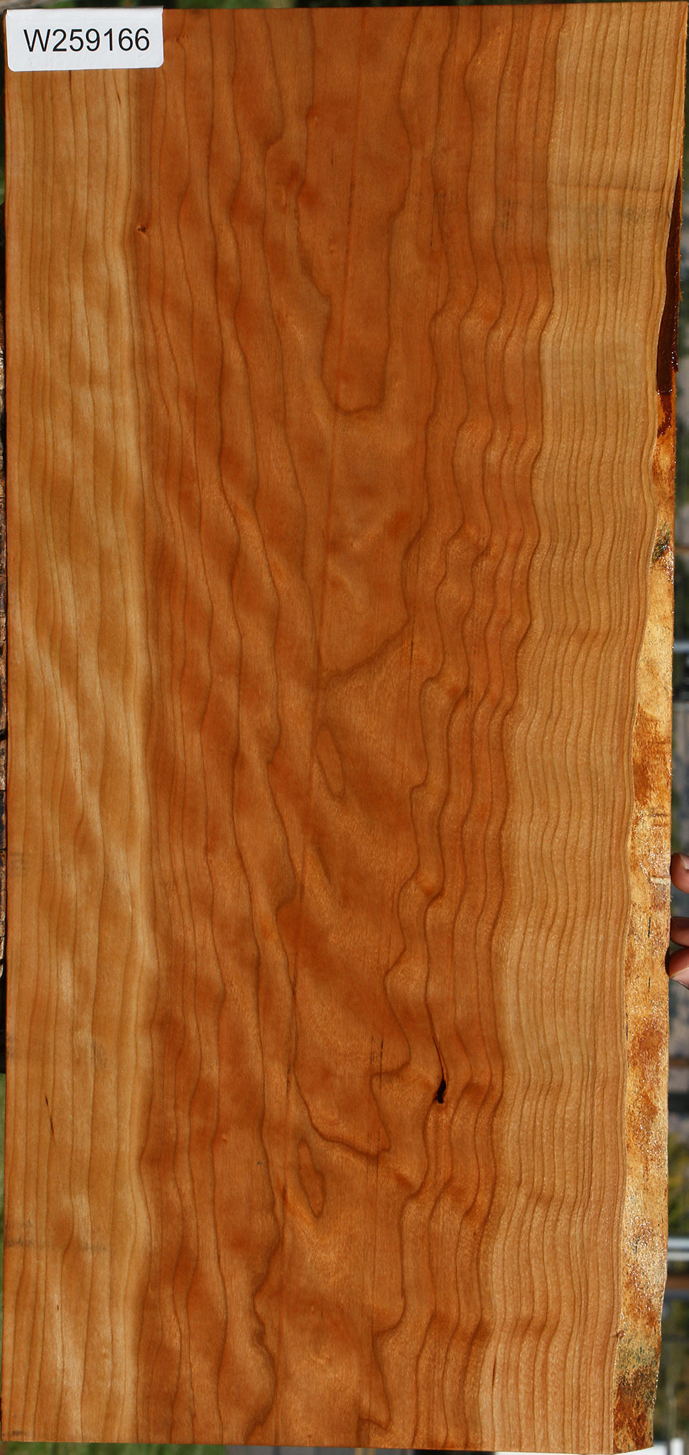 Extra Fancy Cherry Lumber