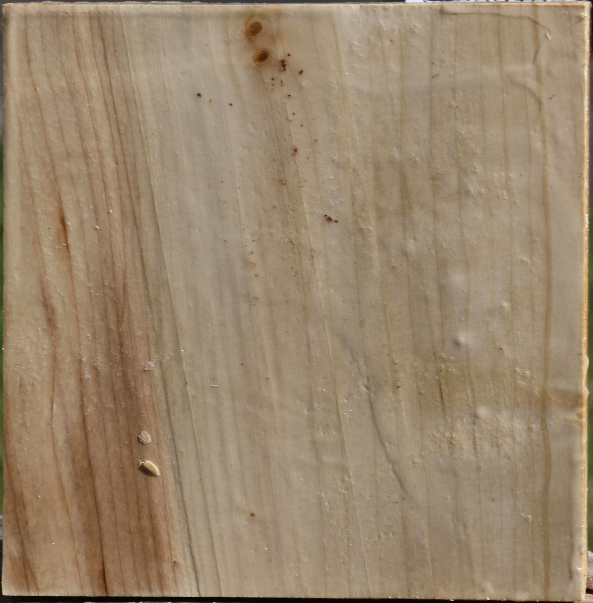 Silver Maple Bowl Blank