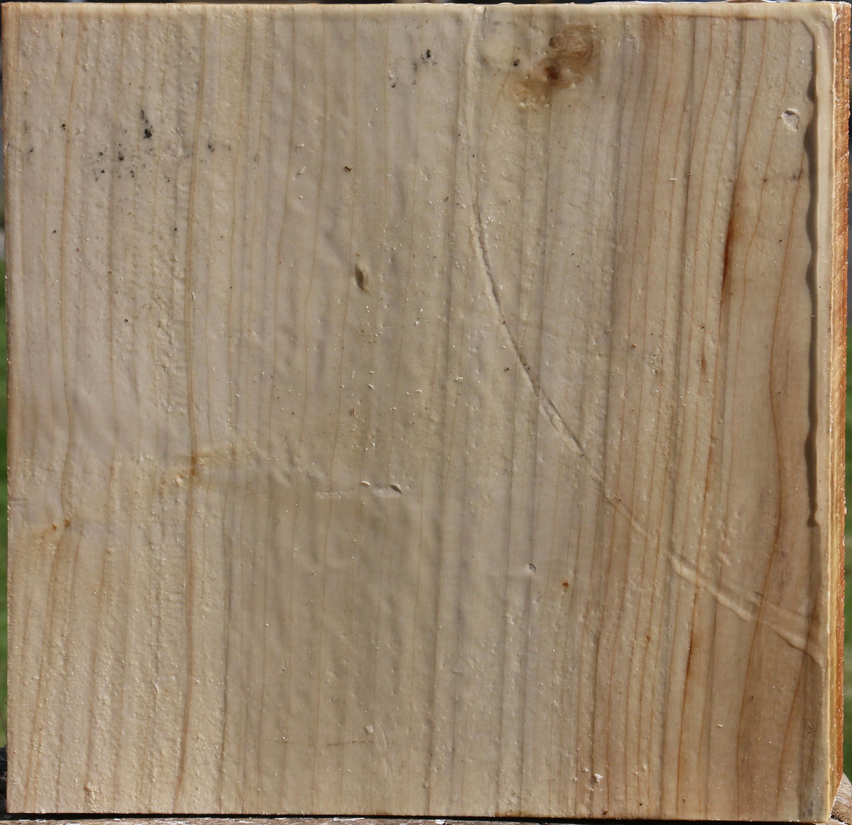 Silver Maple Bowl Blank