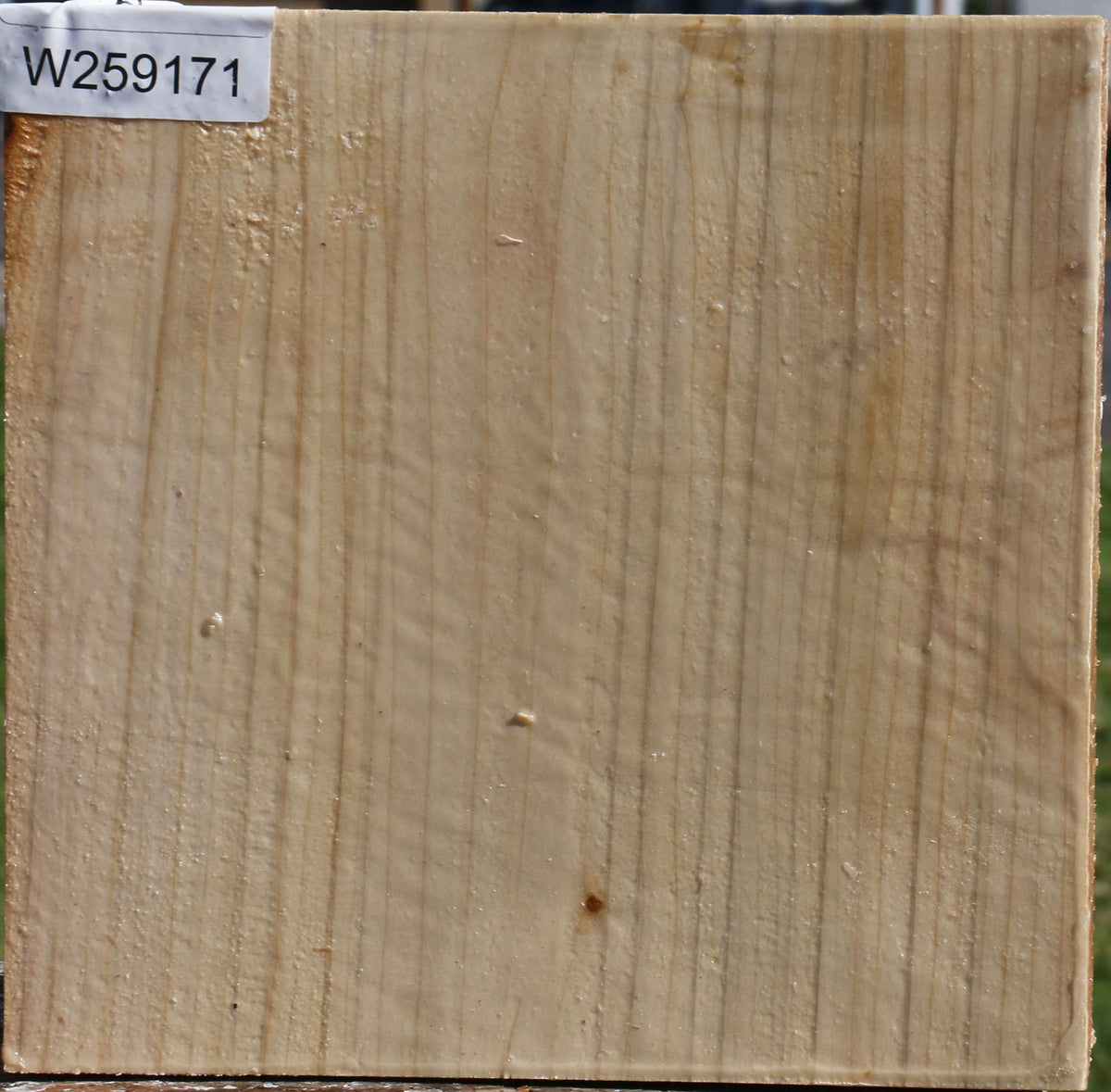 Silver Maple Bowl Blank