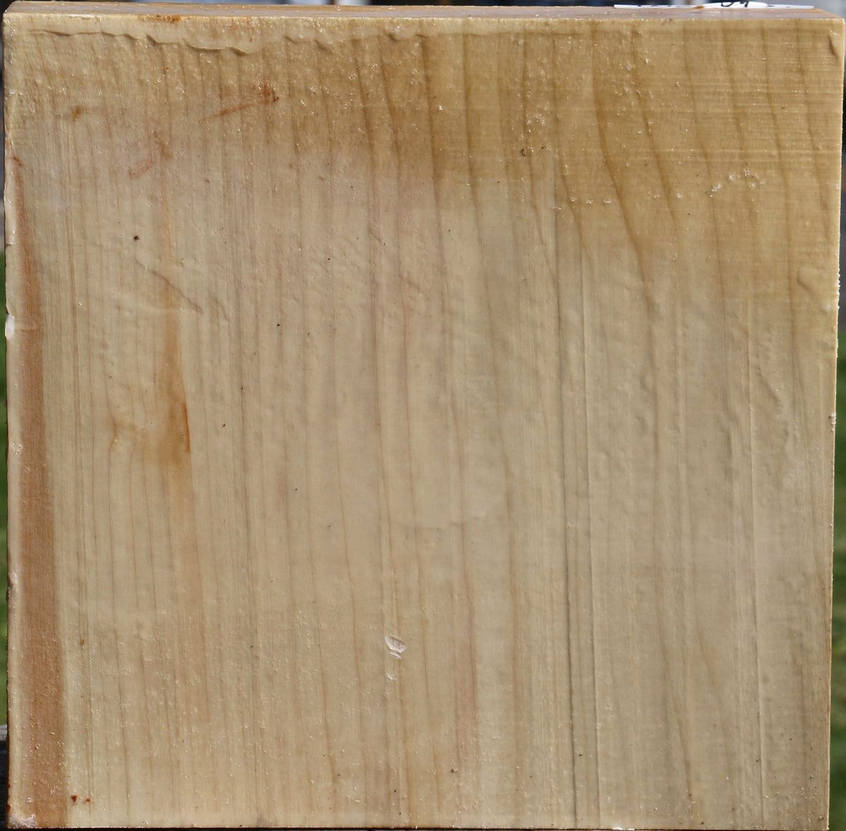 Silver Maple Bowl Blank
