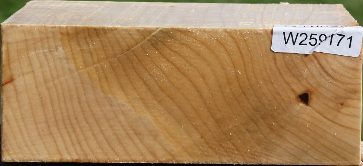 Silver Maple Bowl Blank