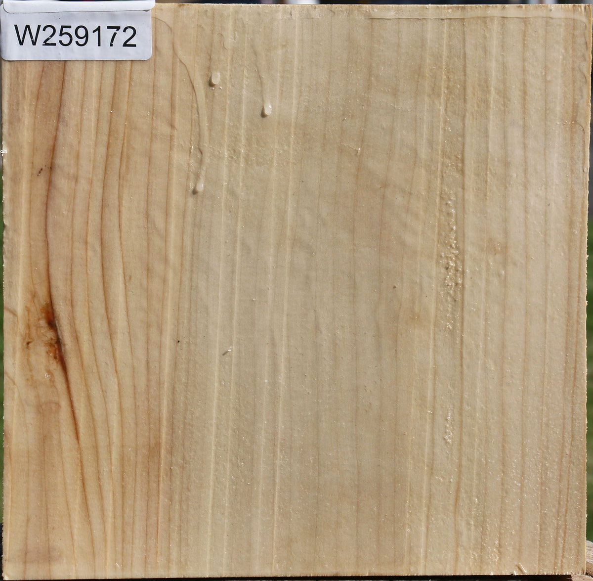 Silver Maple Bowl Blank