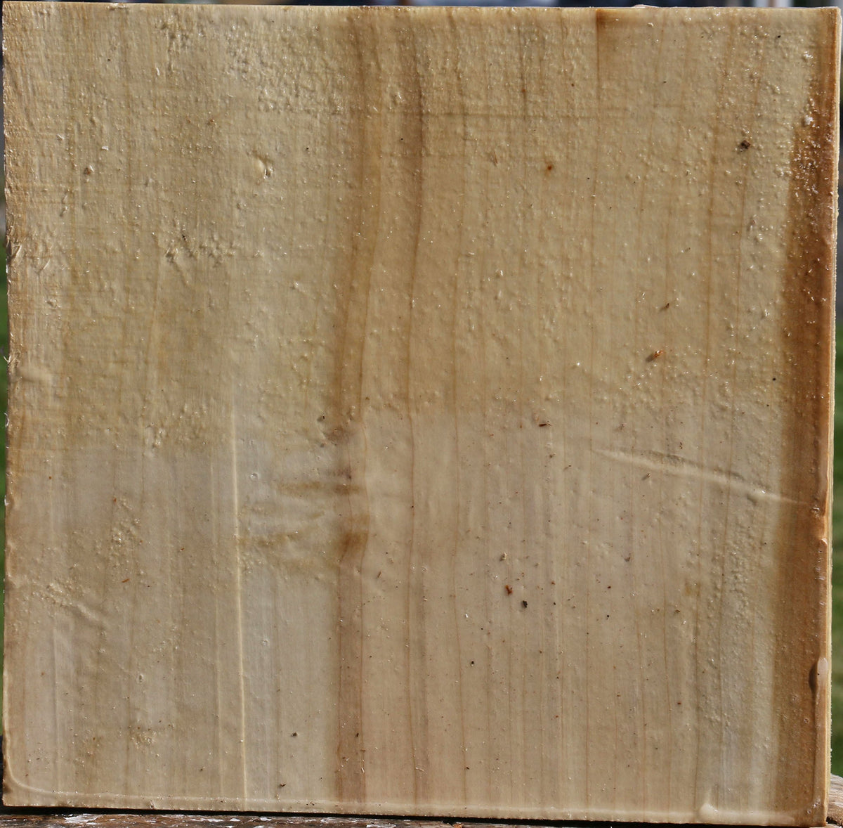 Silver Maple Bowl Blank