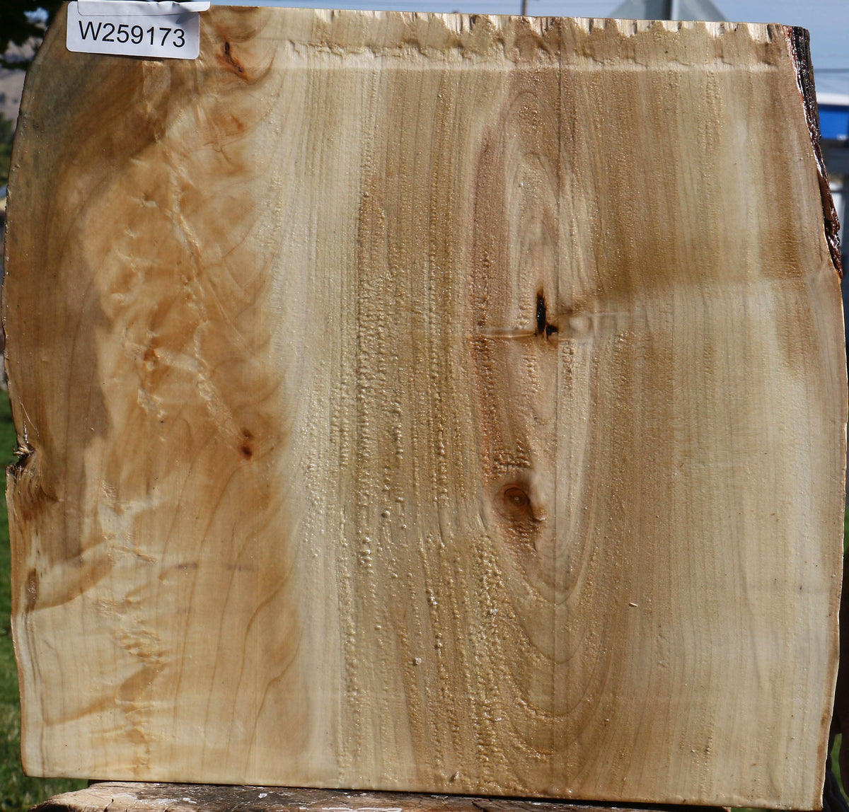 Figured Silver Maple Live Edge Bowl Blank