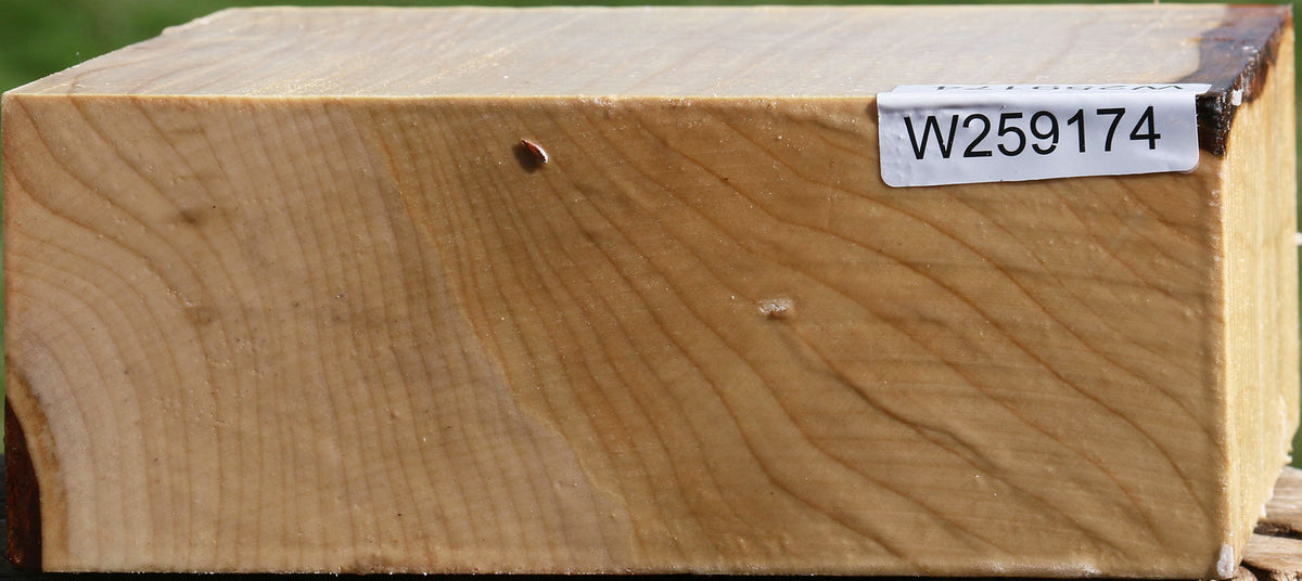 Silver Maple Bowl Blank