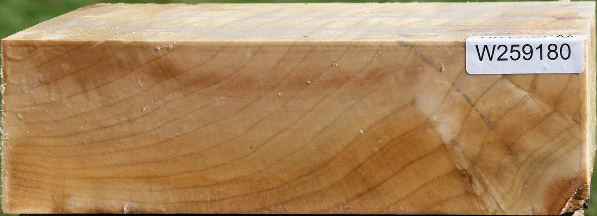 Silver Maple Bowl Blank